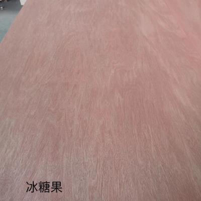 Bingtangor plywood