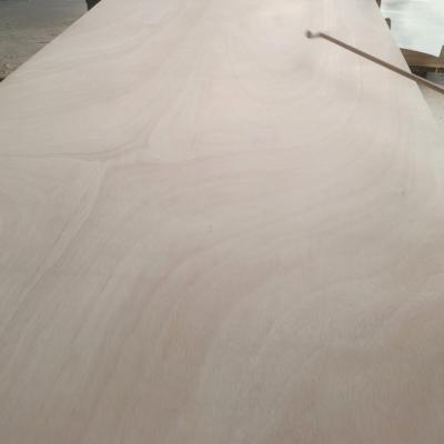 Okoume plywood